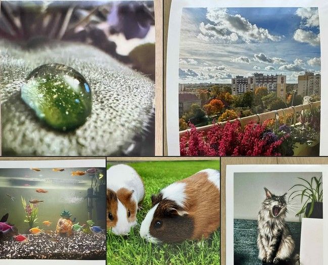 Ogłaszamy wyniki konkursu fotograficznego „Biologia w moim domu”